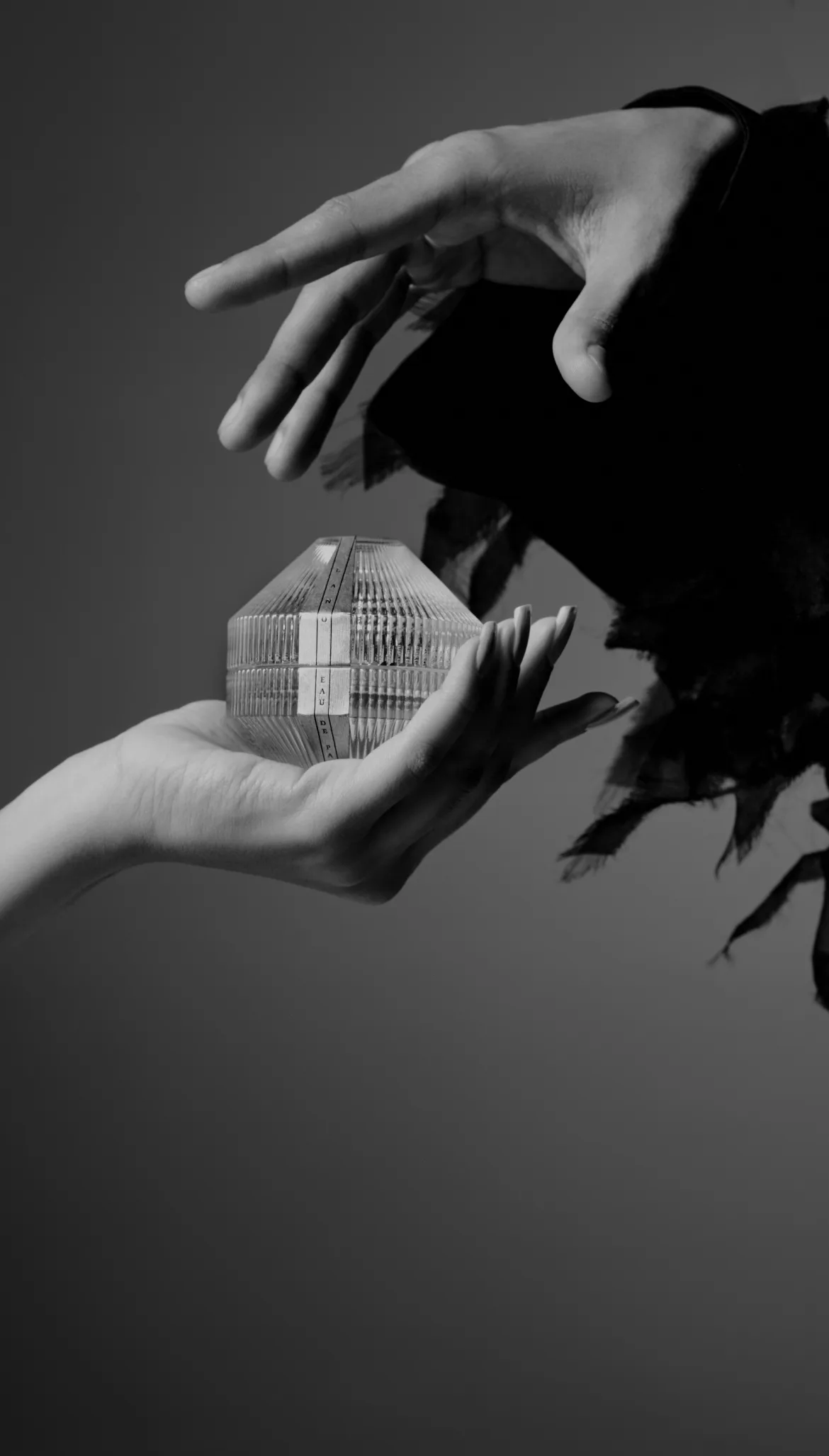 A Gentle Departure - HEIR perfume